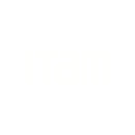 ITAM ITAM